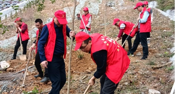 村企共建，共植先锋林